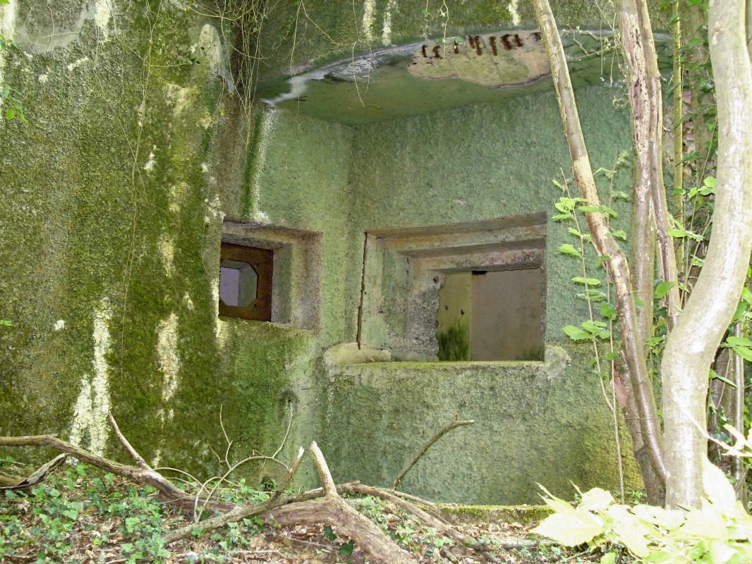 Ligne Maginot - My13 - VILLECLOYE (Casemate d'artillerie) -  - R Tucker