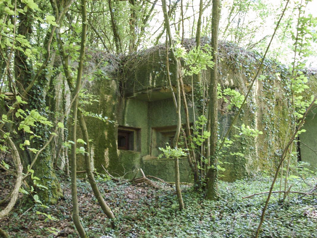 Ligne Maginot - My13 - VILLECLOYE (Casemate d'artillerie) - 