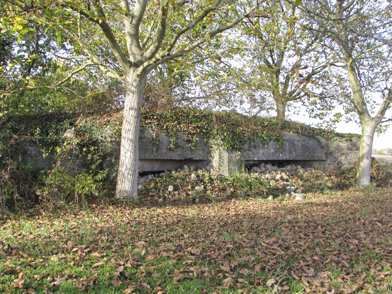 Ligne Maginot - KIRCHGRUBE Sud ( Blockhaus pour canon ) - Vue générale - Antoine SCHOEN