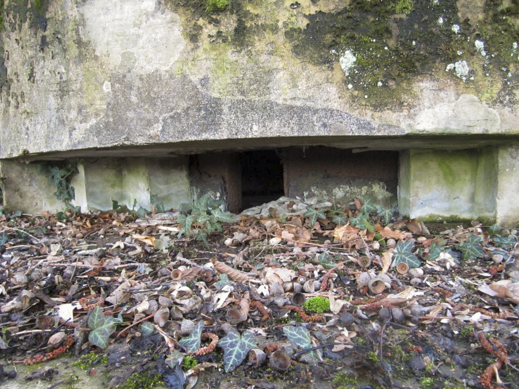 Ligne Maginot - MOULIN DE SCHWABWILLER 1 - (Blockhaus pour arme d'infanterie) - 
