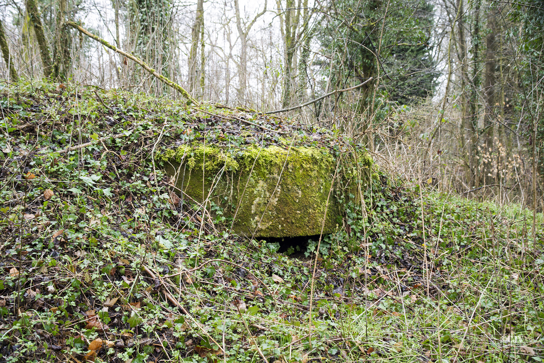 Ligne Maginot - Blockhaus du Moulin de Schwabwiller 2 - 