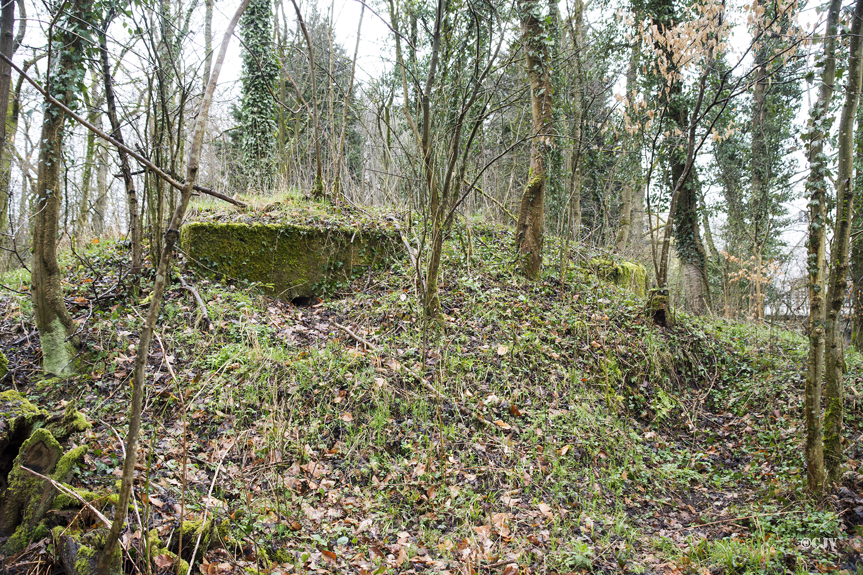Ligne Maginot - Blockhaus du Moulin de Schwabwiller 2 - 