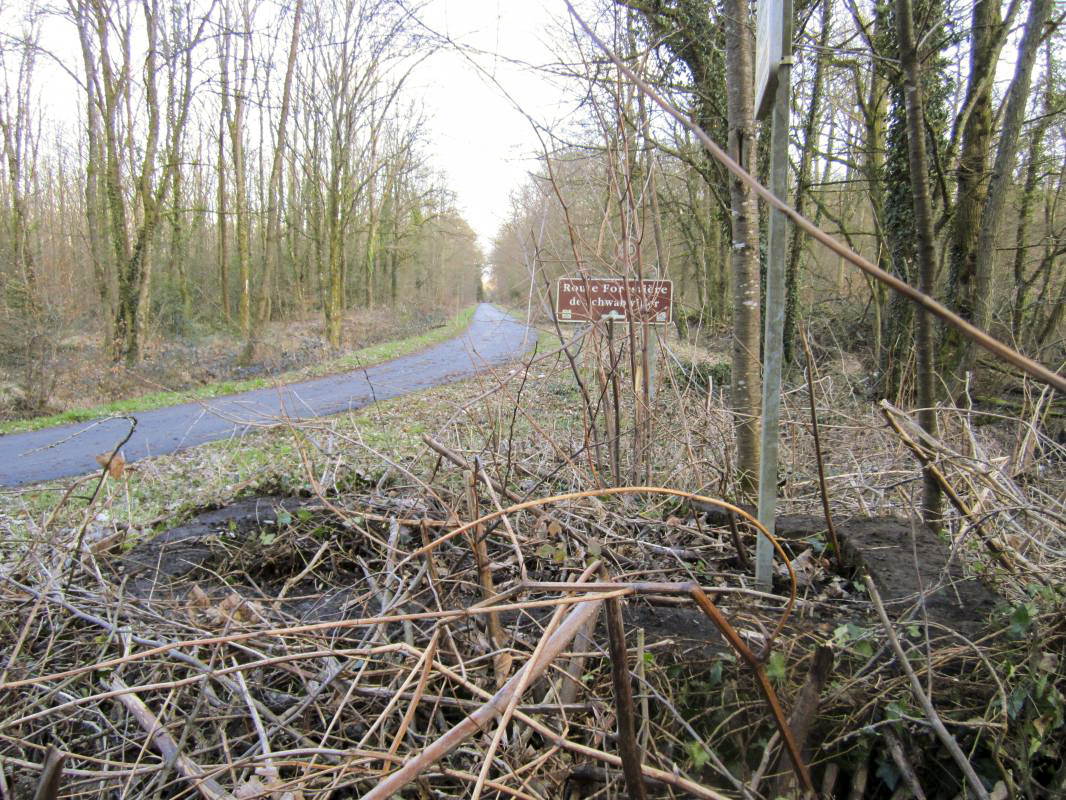 Ligne Maginot - MOULIN DE SCHWABWILLER 3 - (Cuve pour arme d'infanterie) -  - gregfuchs