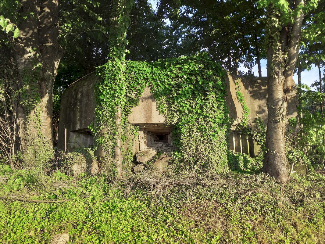 Ligne Maginot - OBERSEEBACH EST - (Blockhaus pour canon) - Créneaux FM