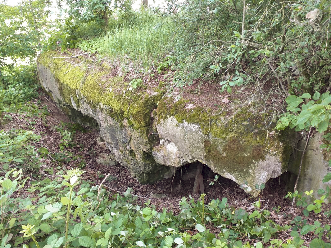 Ligne Maginot - OBERSEEBACH NORD - (Blockhaus pour canon) - Façade chambres de tir mitrailleuse et AC 47