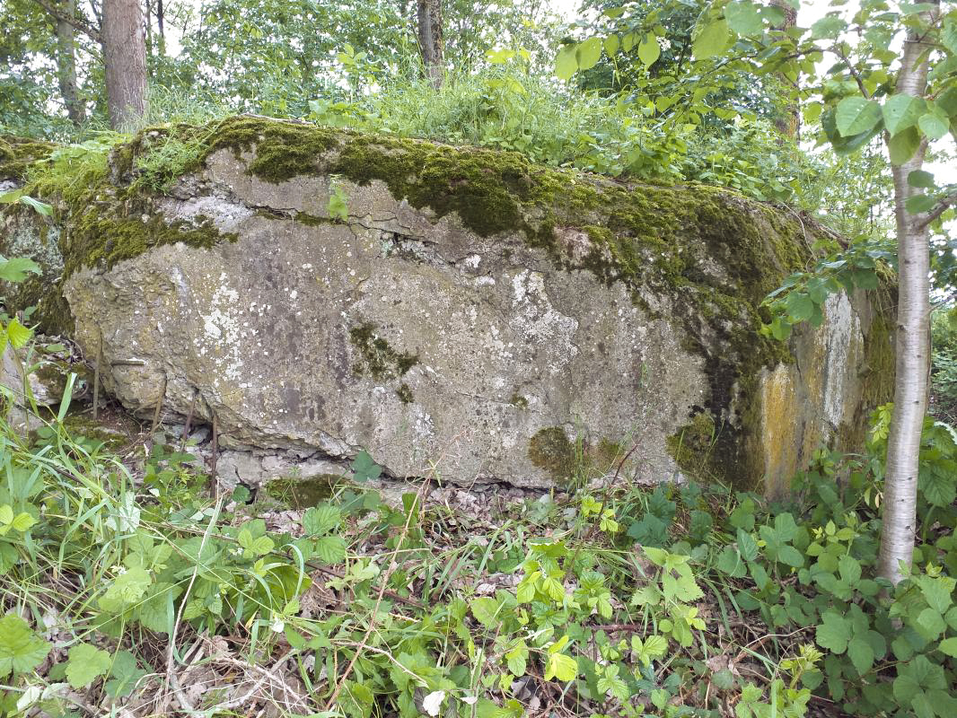 Ligne Maginot - OBERSEEBACH NORD - (Blockhaus pour canon) - Façade chambre de tir des trois FM