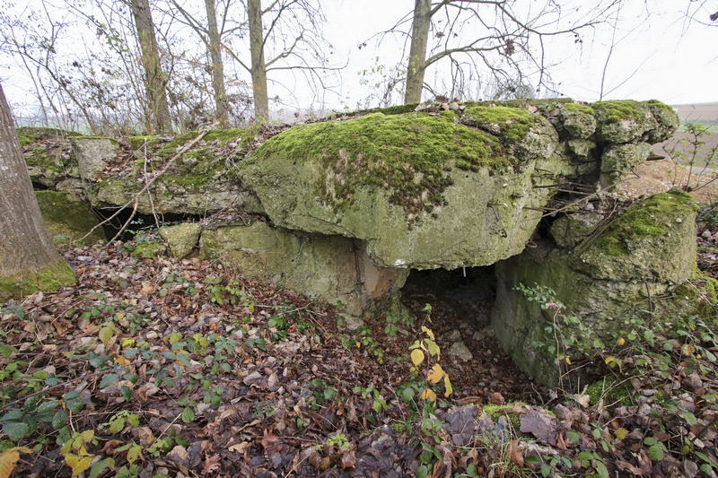 Ligne Maginot - OBERSEEBACH NORD - (Blockhaus pour canon) - 