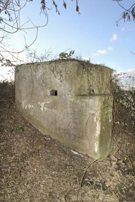 Ligne Maginot - RETENUE DU HAUSAUERBACH - (Blockhaus pour arme infanterie) - Vue générale extérieure - Antoine SCHOEN