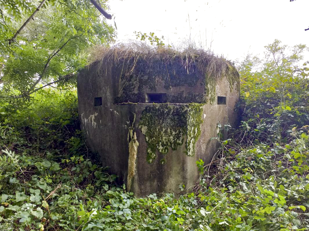Ligne Maginot - RETENUE DU HAUSAUERBACH - (Blockhaus pour arme infanterie) -  - Gregory Fuchs