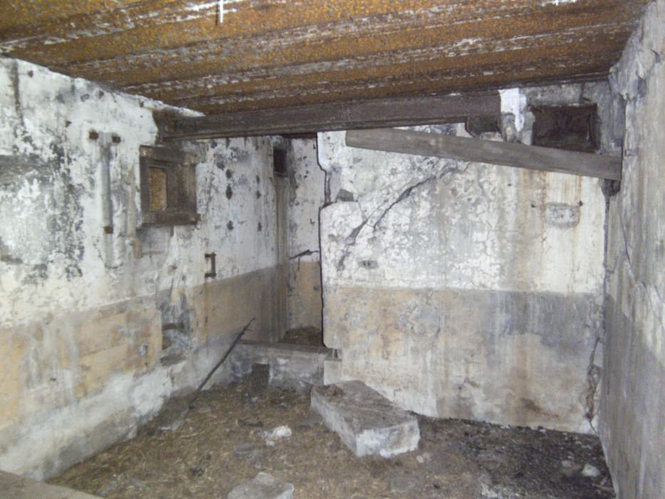 Ligne Maginot - Casemate de la Seltz (ou du Seltzbach) - Chambre de tir sud-est, créneau JM et canon de 37