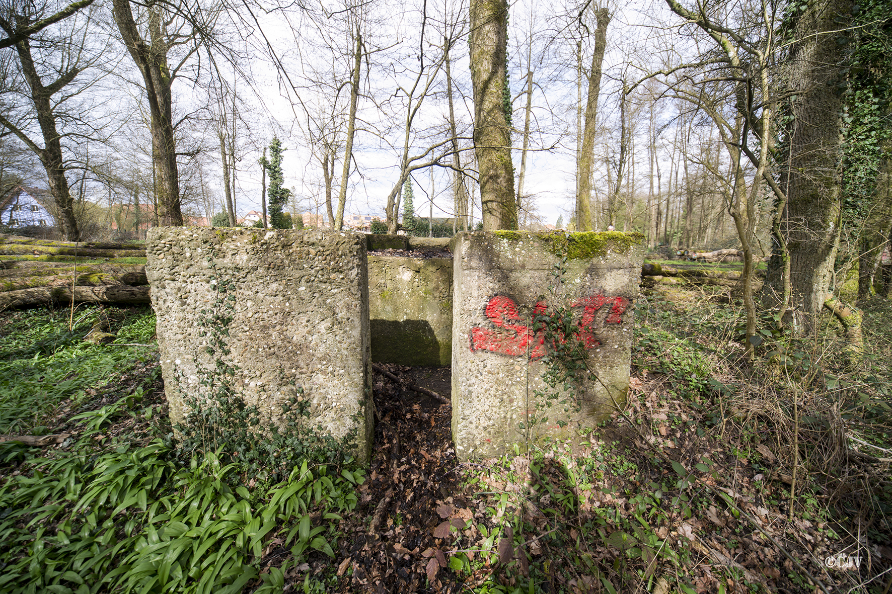 Ligne Maginot - STEINMUEHLE 1 - (Cuve pour arme d'infanterie) -  - Lia VERMEULEN
