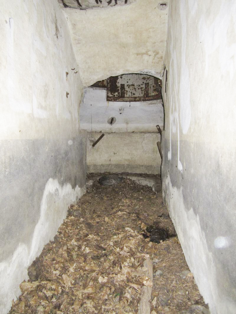 Ligne Maginot - STEINMUEHLE 4 - (Blockhaus pour arme infanterie) - 