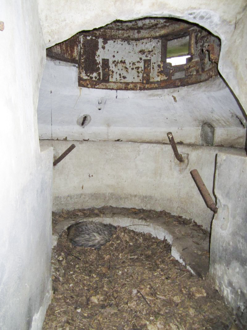 Ligne Maginot - STEINMUEHLE 4 - (Blockhaus pour arme infanterie) - 