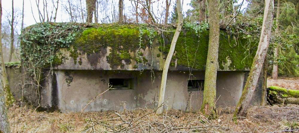 Ligne Maginot - BOIS DE RITTERSHOFFEN 3 - (Casemate d'infanterie - Simple) - 
