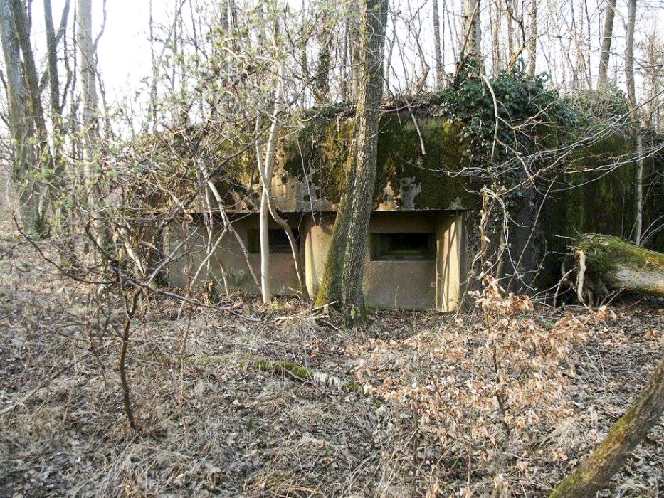 Ligne Maginot - BOIS DE RITTERSHOFFEN 3 - (Casemate d'infanterie - Simple) - 