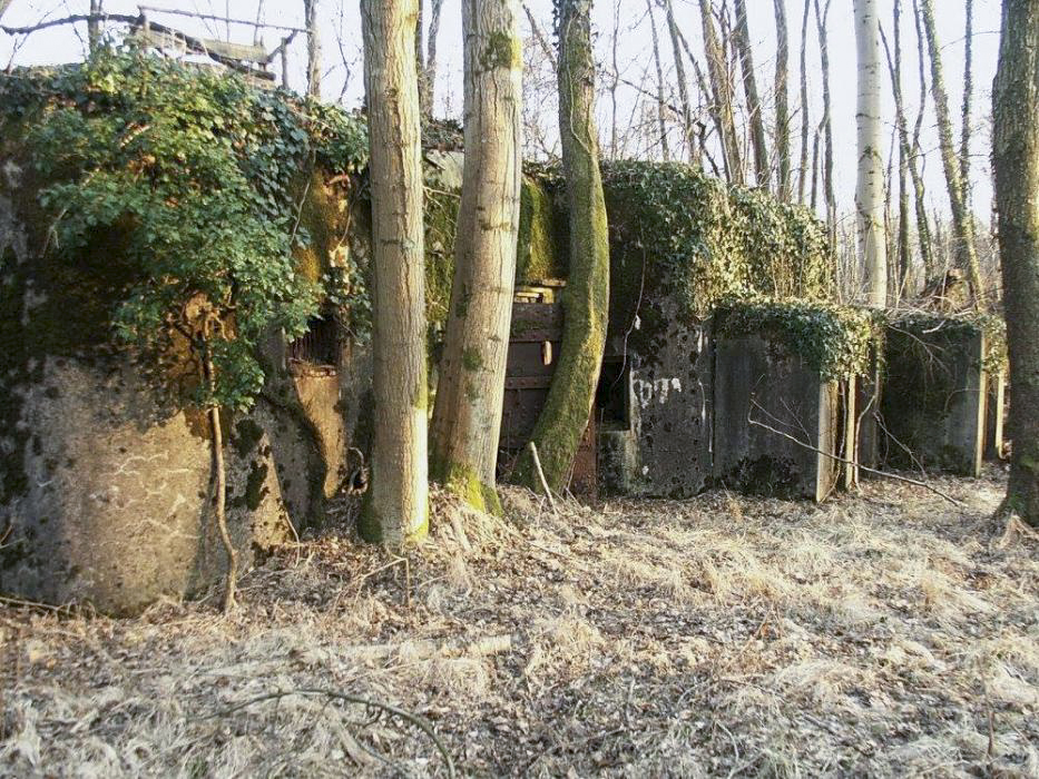 Ligne Maginot - BOIS DE RITTERSHOFFEN 3 - (Casemate d'infanterie - Simple) - 