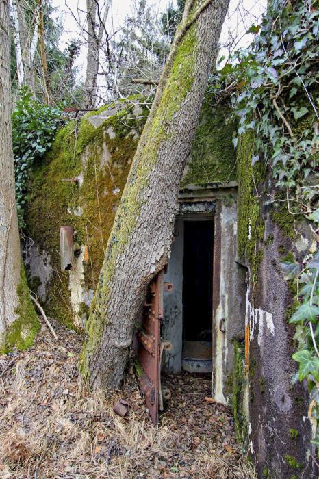 Ligne Maginot - BOIS DE RITTERSHOFFEN 3 - (Casemate d'infanterie - Simple) - 