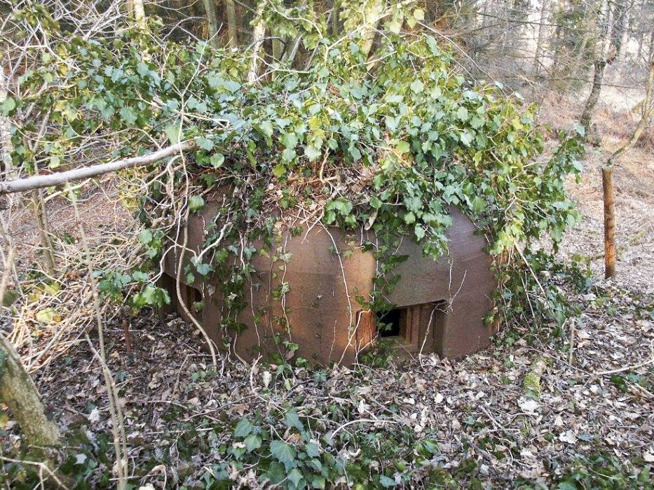 Ligne Maginot - BOIS DE RITTERSHOFFEN 3 - (Casemate d'infanterie - Simple) - 