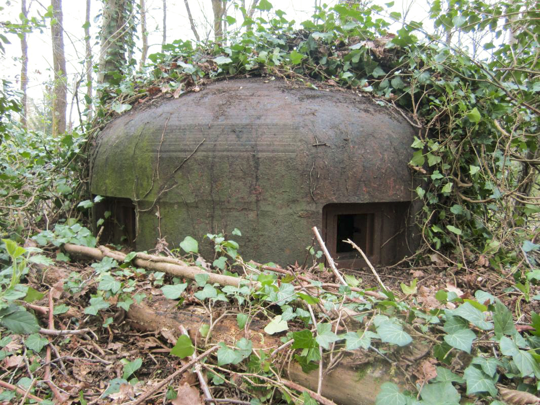 Ligne Maginot - BOIS DE RITTERSHOFFEN 4 - (Casemate d'infanterie - Simple) - Cloche GFM