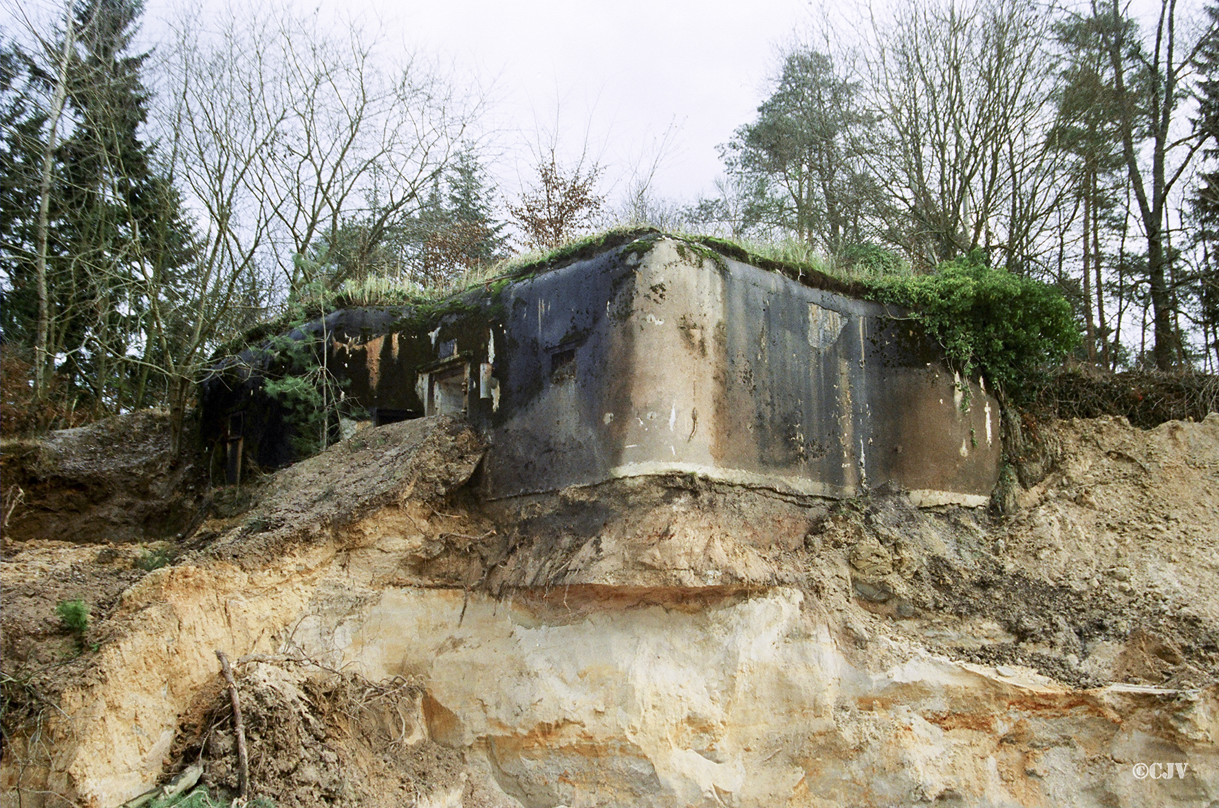 Ligne Maginot - BOIS DE RITTERSHOFFEN 5 - (Casemate d'infanterie - Simple) - État fin 2000