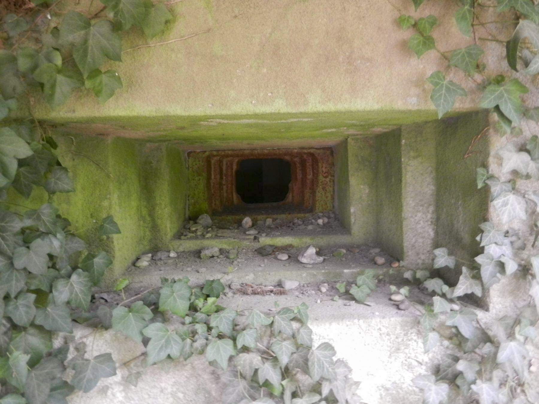 Ligne Maginot - BOIS DE RITTERSHOFFEN 5 - (Casemate d'infanterie - Simple) - 