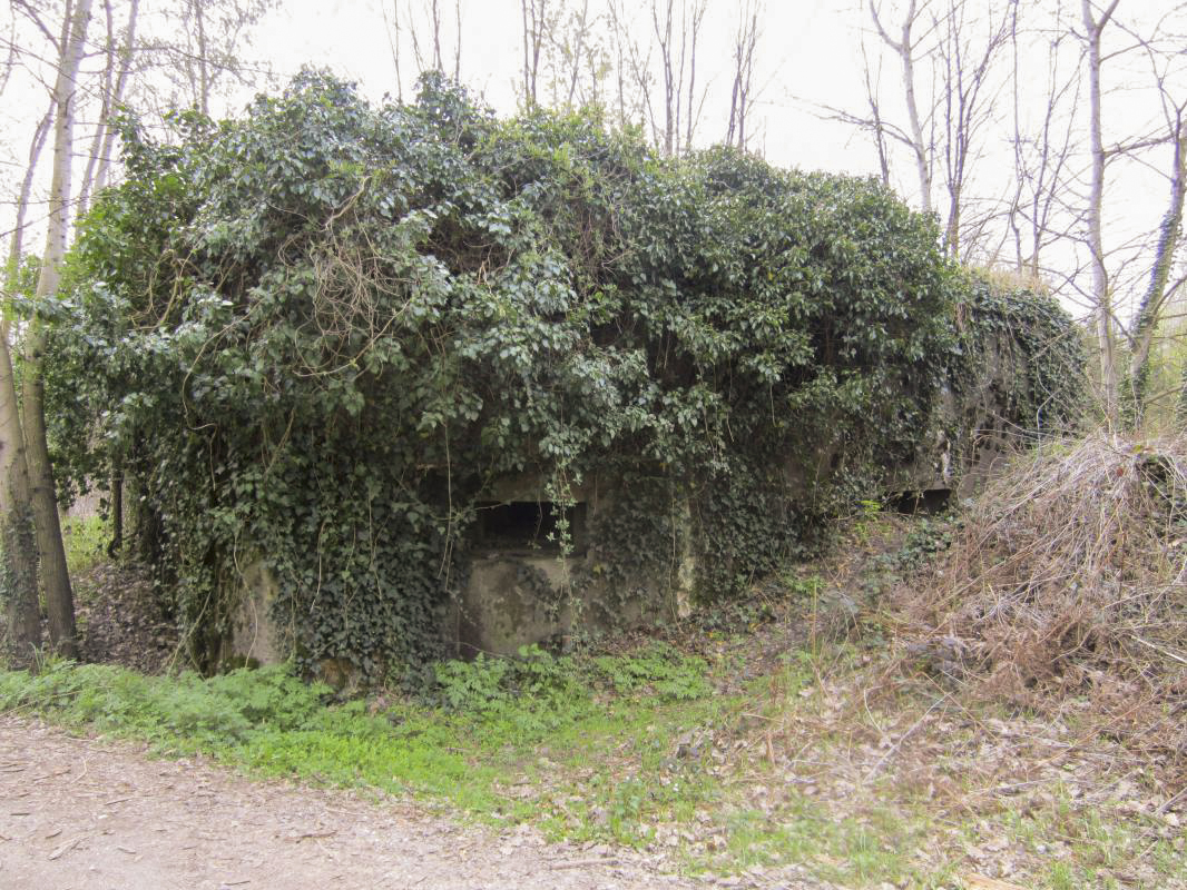 Ligne Maginot - BOIS DE RITTERSHOFFEN 5 - (Casemate d'infanterie - Simple) - Façade chambre de tir