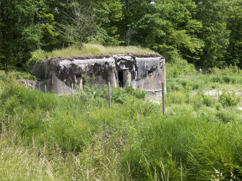 Ligne Maginot - BOIS DE RITTERSHOFFEN 5 - (Casemate d'infanterie - Simple) - Vue extérieure