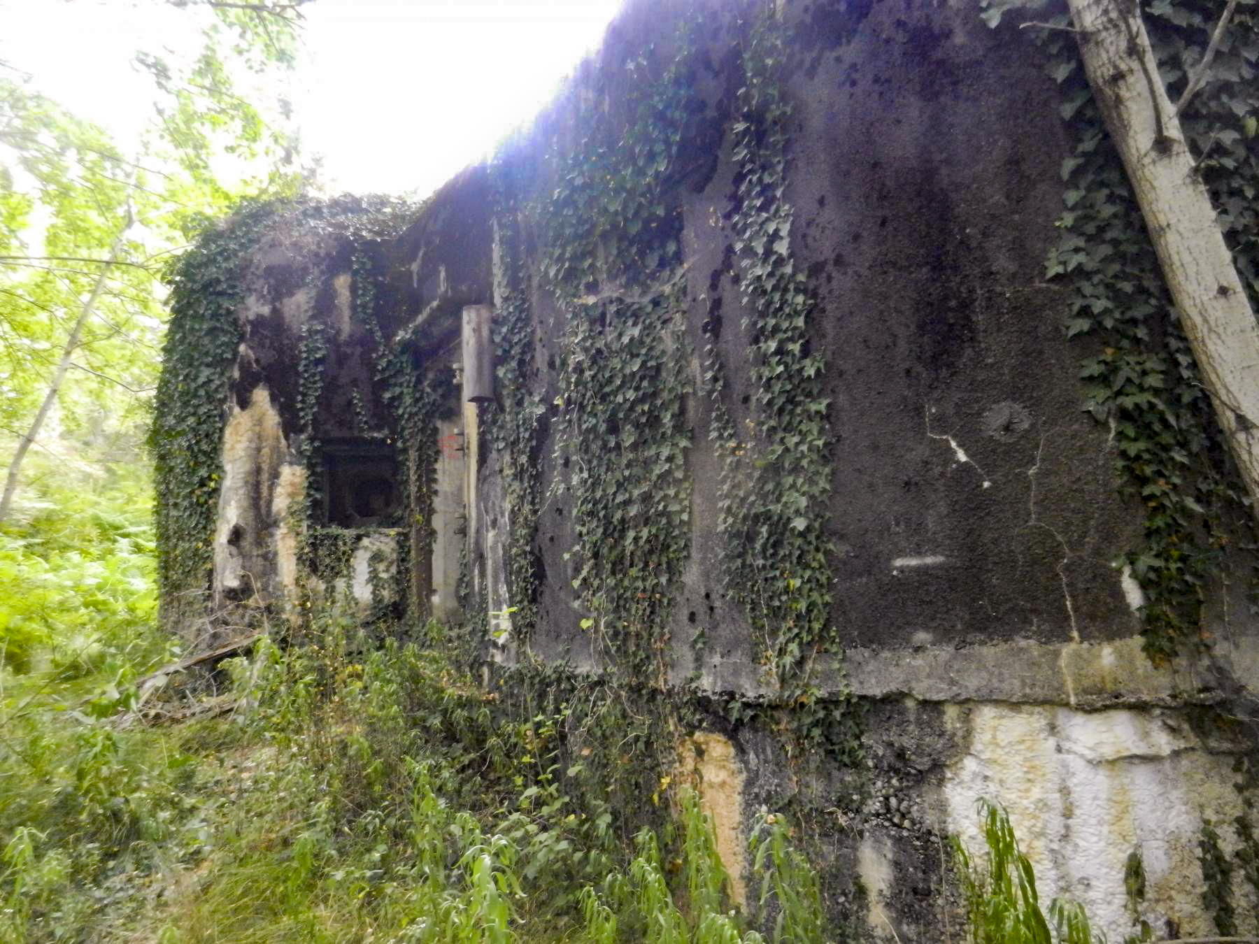 Ligne Maginot - BOIS DE RITTERSHOFFEN 5 - (Casemate d'infanterie - Simple) - 