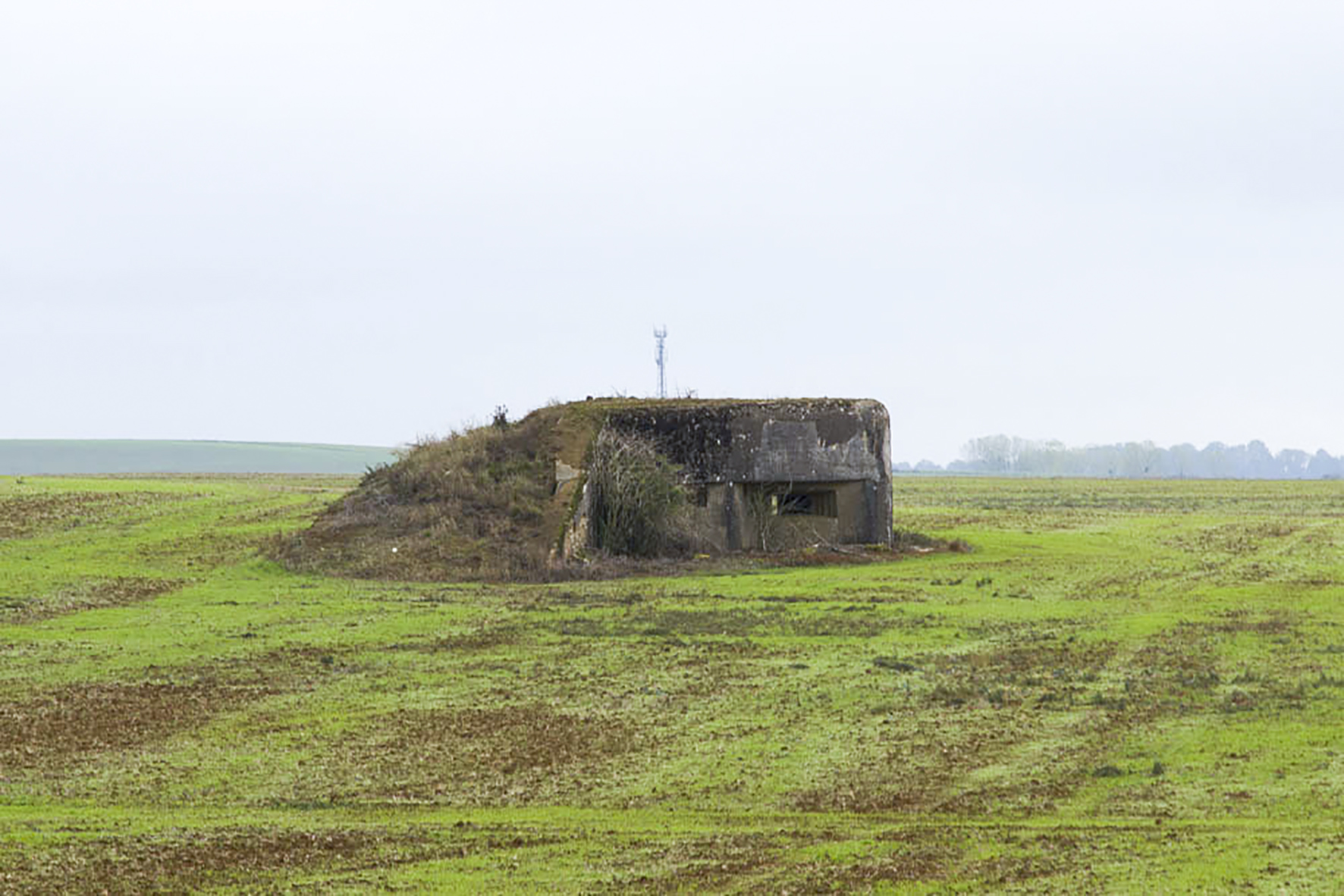 Ligne Maginot - MB341 - (Blockhaus pour canon) - 