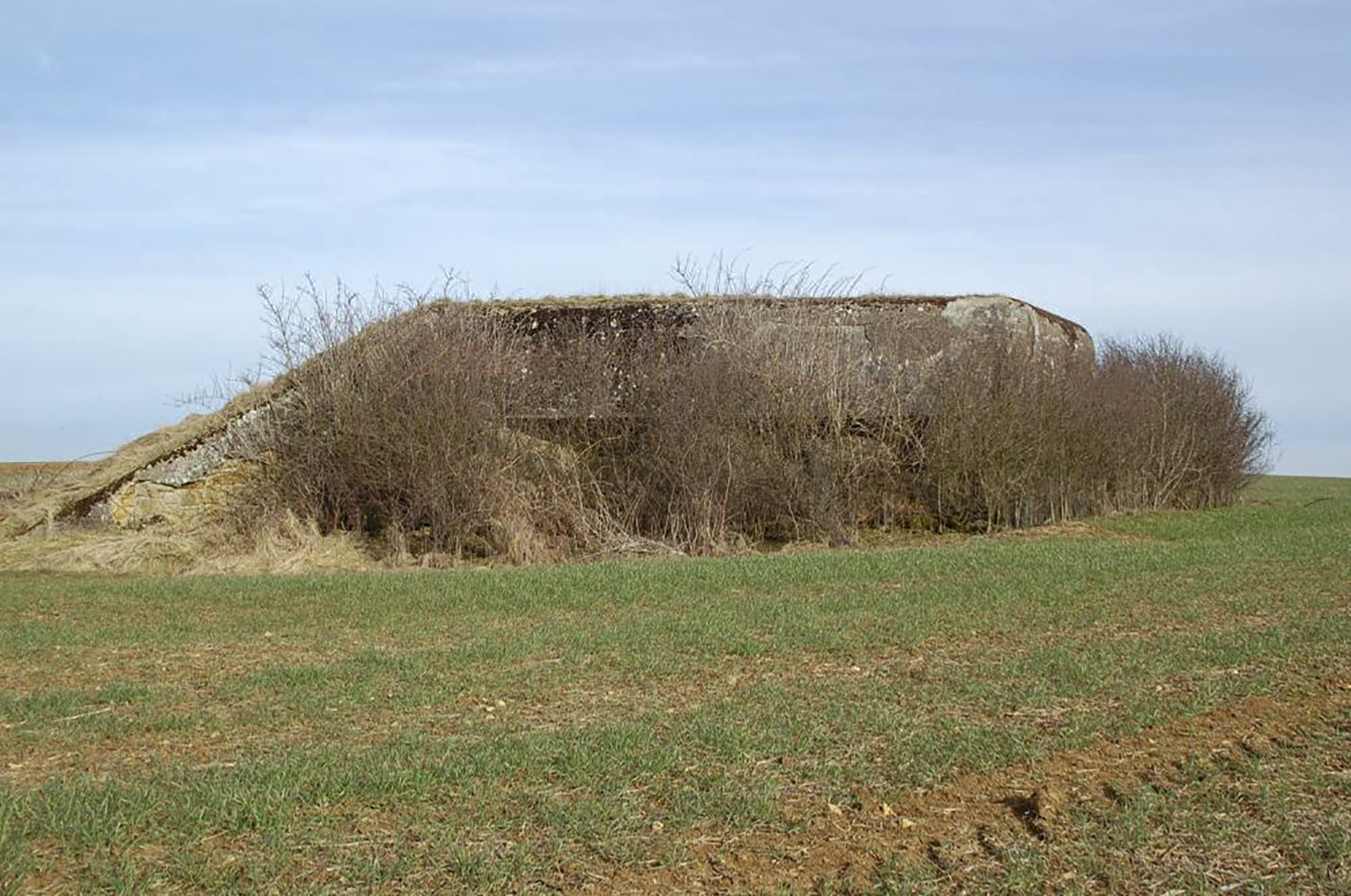 Ligne Maginot - MB341 - (Blockhaus pour canon) - L'ouvrage... Vue générale, malheureusement celui ci est entouré de ronces et autres plantes désagréables qui condamnent l'accès... Un retour avec sécateur et cisaille est envisagé...