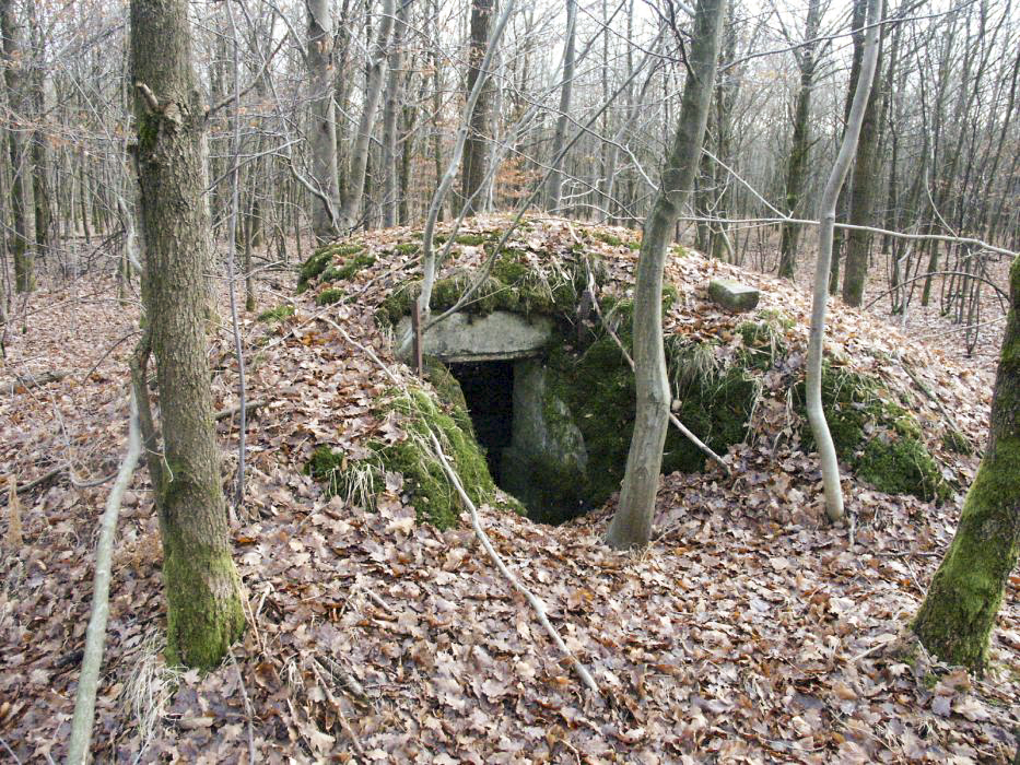 Ligne Maginot - BOIS de RITTERSHOFFEN b (Blockhaus pour arme infanterie) - L'entrée - GRASSER Michel