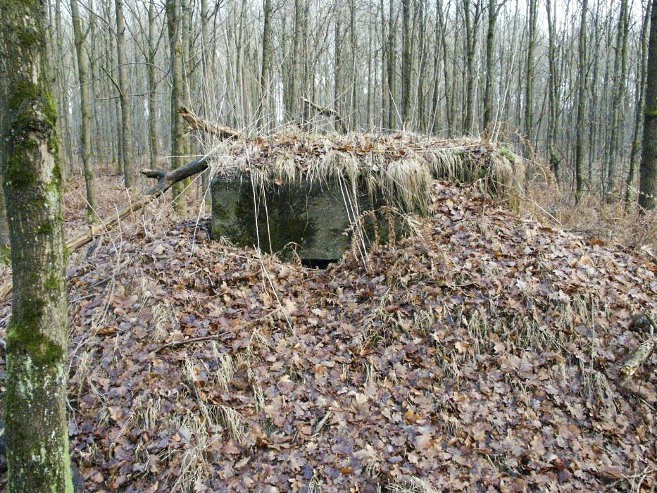 Ligne Maginot - BOIS de RITTERSHOFFEN c (Blockhaus pour arme infanterie) - 