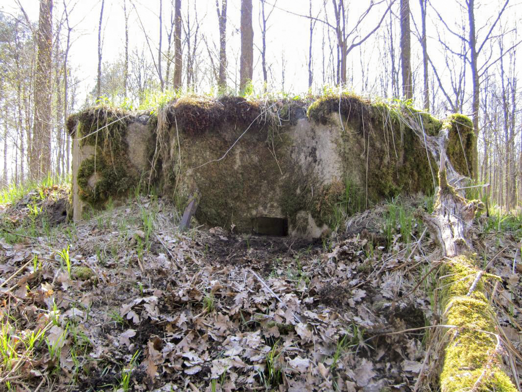 Ligne Maginot - BOIS DE RITTERSHOFFEN c - (Blockhaus pour arme infanterie) - Créneau gauche