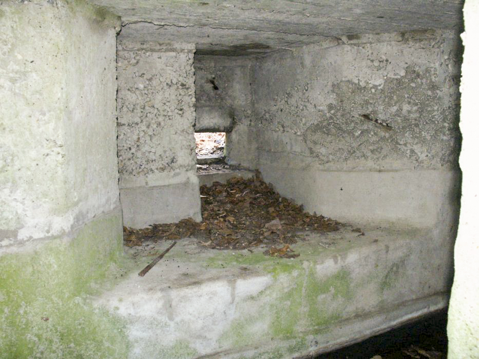 Ligne Maginot - BOIS de RITTERSHOFFEN d (Blockhaus pour arme infanterie) - 