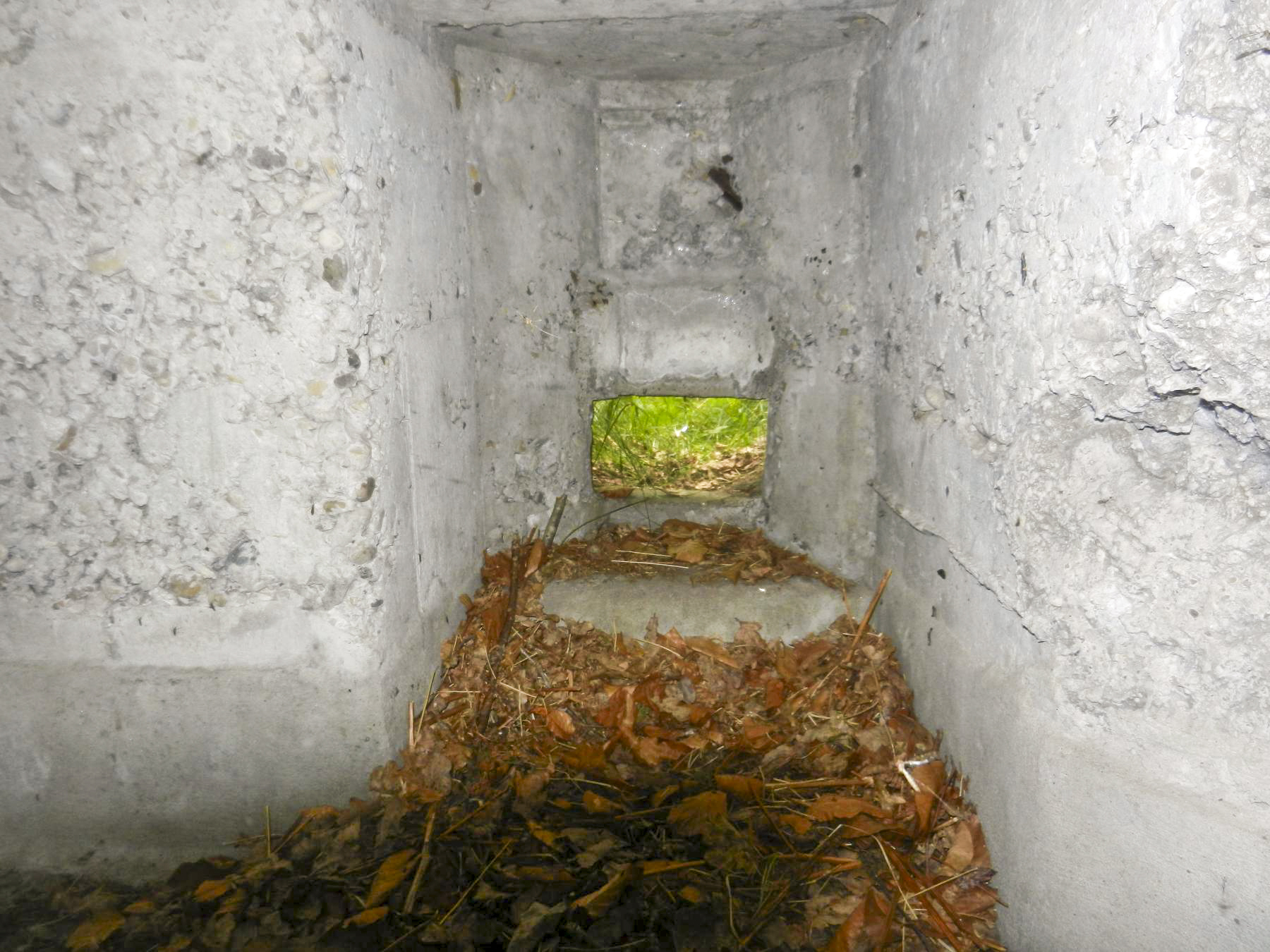 Ligne Maginot - BOIS de RITTERSHOFFEN d (Blockhaus pour arme infanterie) - 