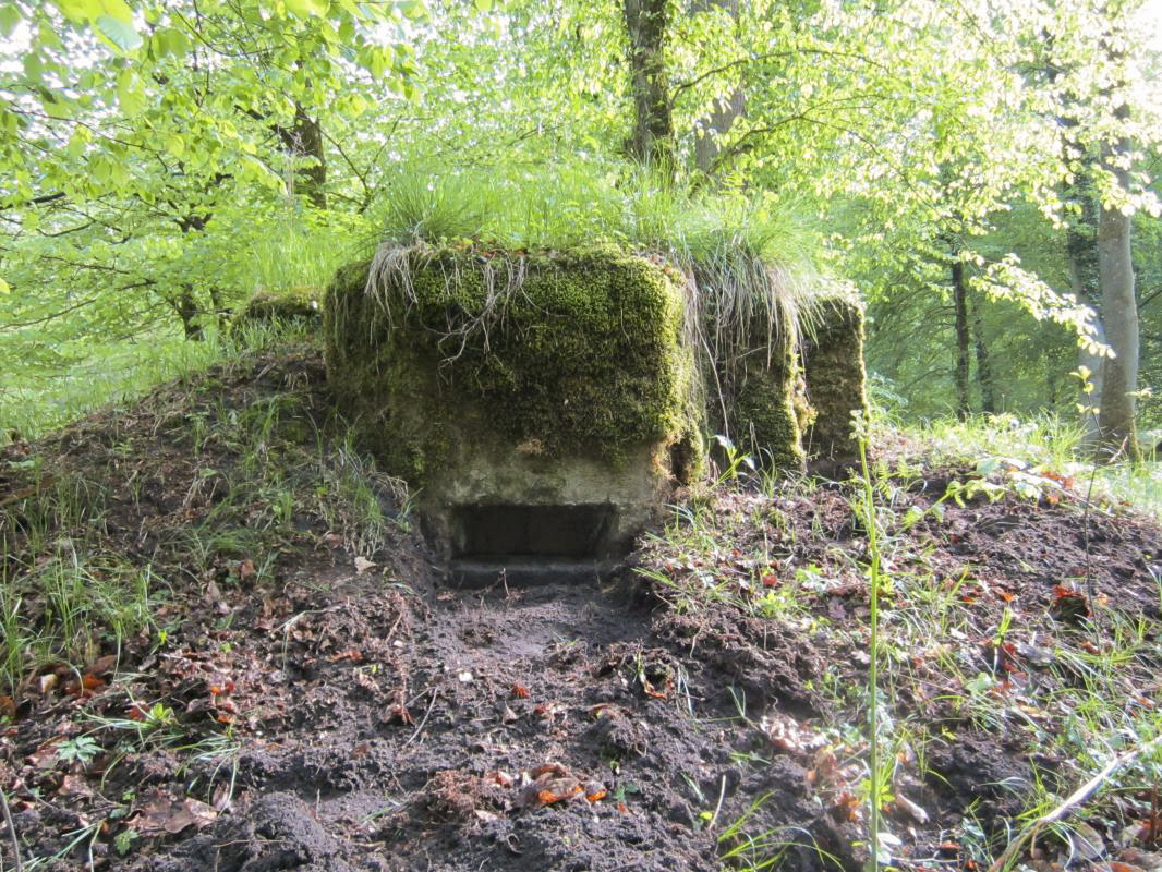 Ligne Maginot - BOIS DE RITTERSHOFFEN e - (Blockhaus pour arme infanterie) - Créneau principal