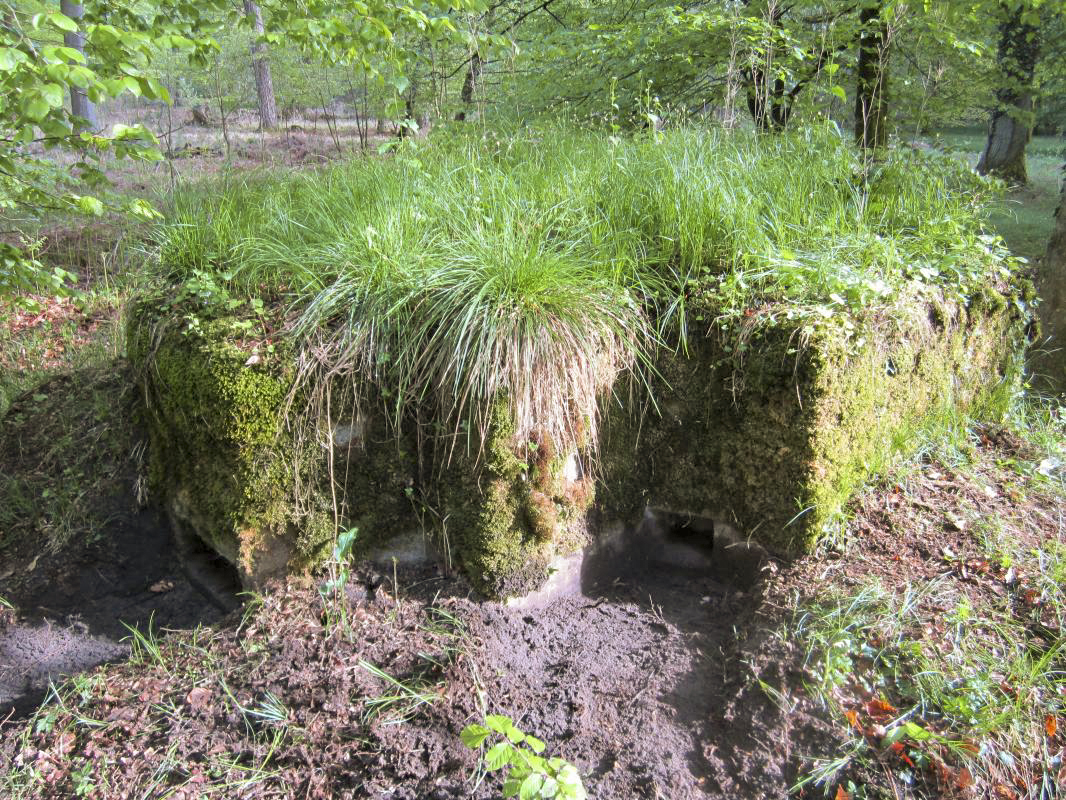 Ligne Maginot - BOIS DE RITTERSHOFFEN e - (Blockhaus pour arme infanterie) - Créneau principal et secondaire