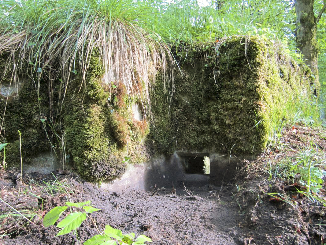 Ligne Maginot - BOIS DE RITTERSHOFFEN e - (Blockhaus pour arme infanterie) - Créneau gauche