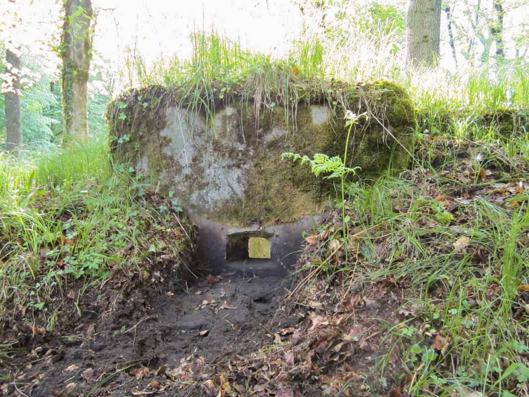 Ligne Maginot - BOIS DE RITTERSHOFFEN e - (Blockhaus pour arme infanterie) - Créneau droit
