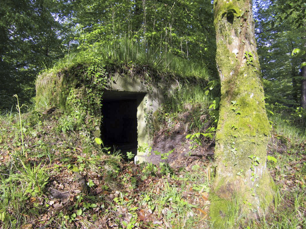 Ligne Maginot - BOIS DE RITTERSHOFFEN e - (Blockhaus pour arme infanterie) - Entrée