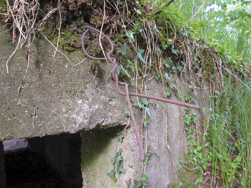 Ligne Maginot - BOIS DE RITTERSHOFFEN e - (Blockhaus pour arme infanterie) - Restes du réseau de barbelés