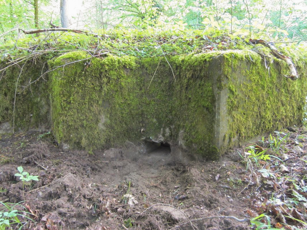 Ligne Maginot - BOIS de RITTERSHOFFEN f (Blockhaus pour arme infanterie) - Créneau gauche