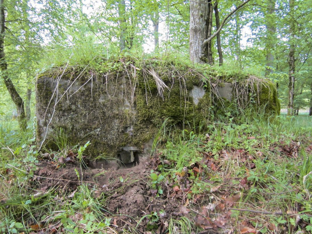 Ligne Maginot - BOIS de RITTERSHOFFEN f (Blockhaus pour arme infanterie) - Créneau droit