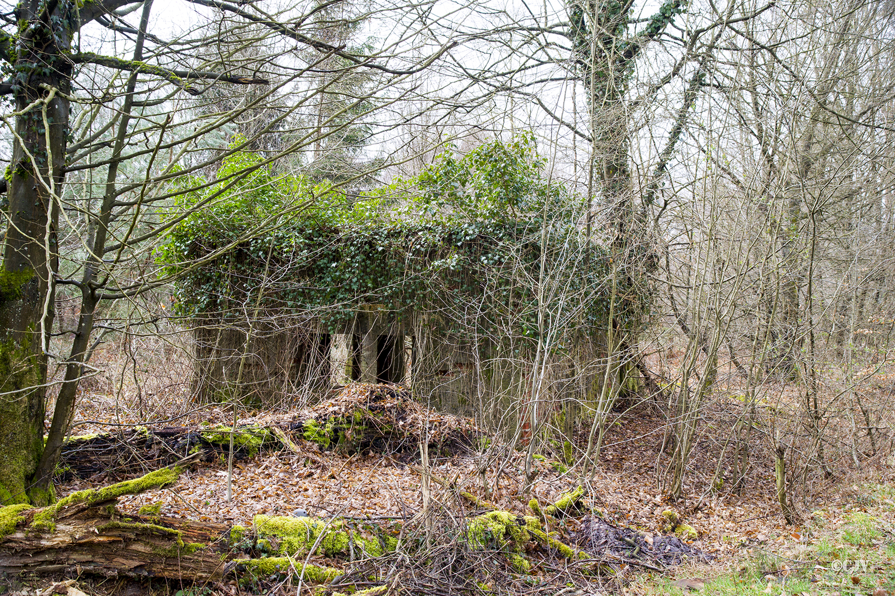 Ligne Maginot - CARREFOUR PERREAUD 1 - (Blockhaus pour canon) -  - Lia VERMEULEN