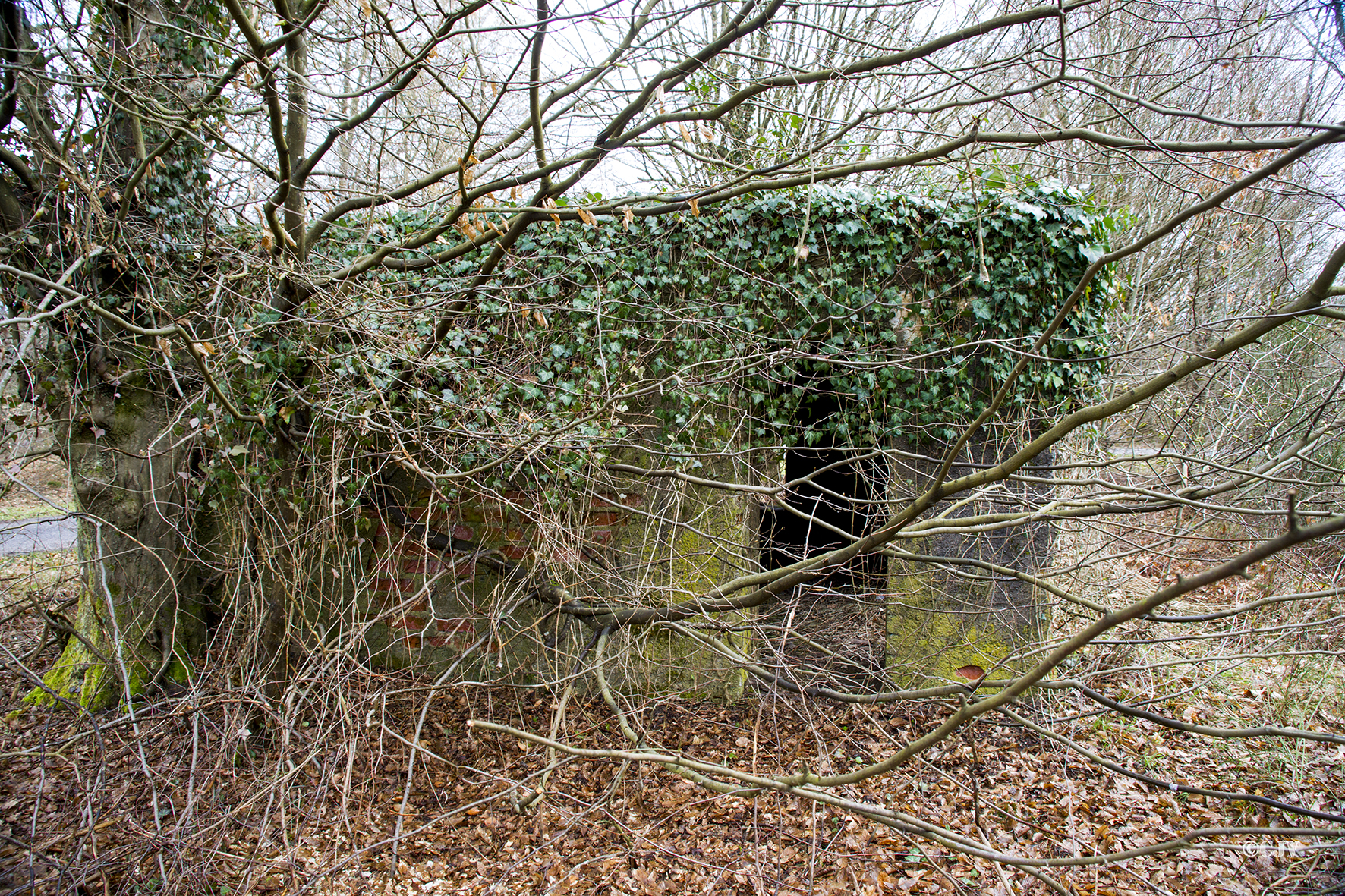 Ligne Maginot - CARREFOUR PERREAUD 1 - (Blockhaus pour canon) - 