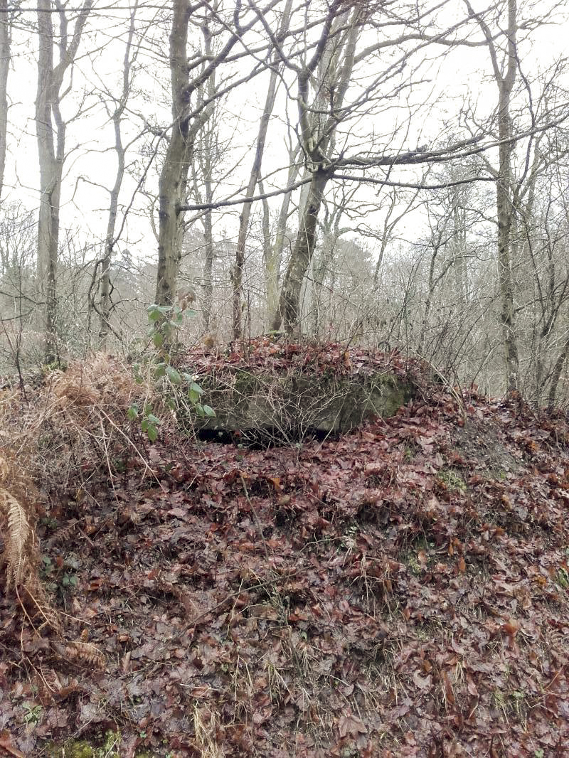 Ligne Maginot - CHENAIE 1 (Blockhaus pour arme infanterie) - 