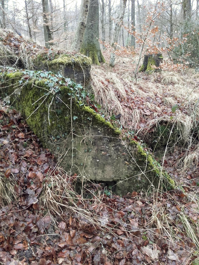 Ligne Maginot - CHENAIE 1 (Blockhaus pour arme infanterie) - 