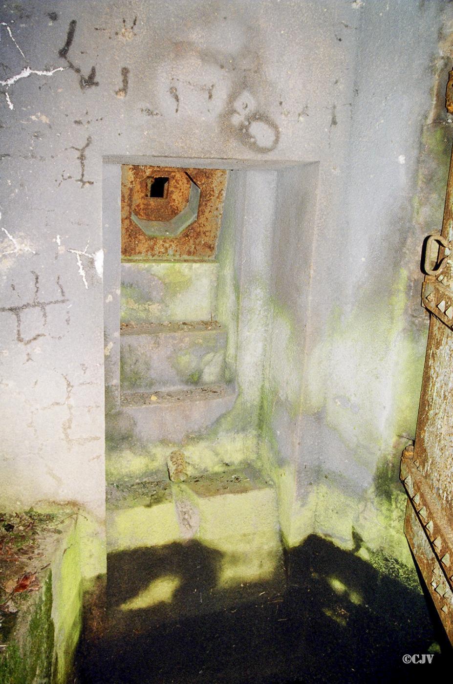 Ligne Maginot - BOIS KARRE - X12 (Abri) -  - Lia VERMEULEN