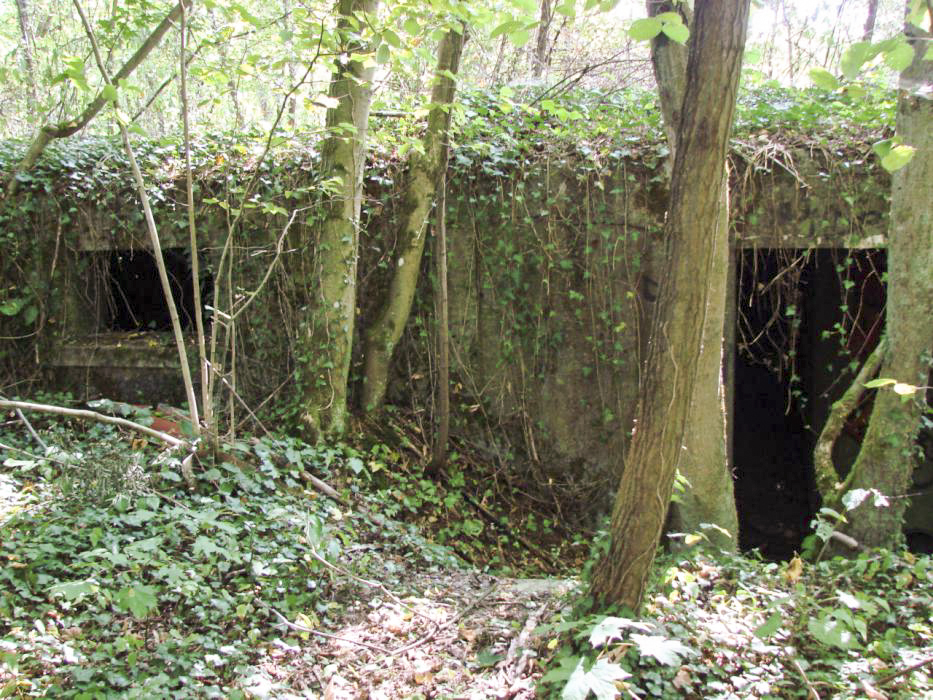 Ligne Maginot - ELZANGE - (Camp de sureté) - Les ruines du camp
Soubassement d'un baraquement - Schnoupf