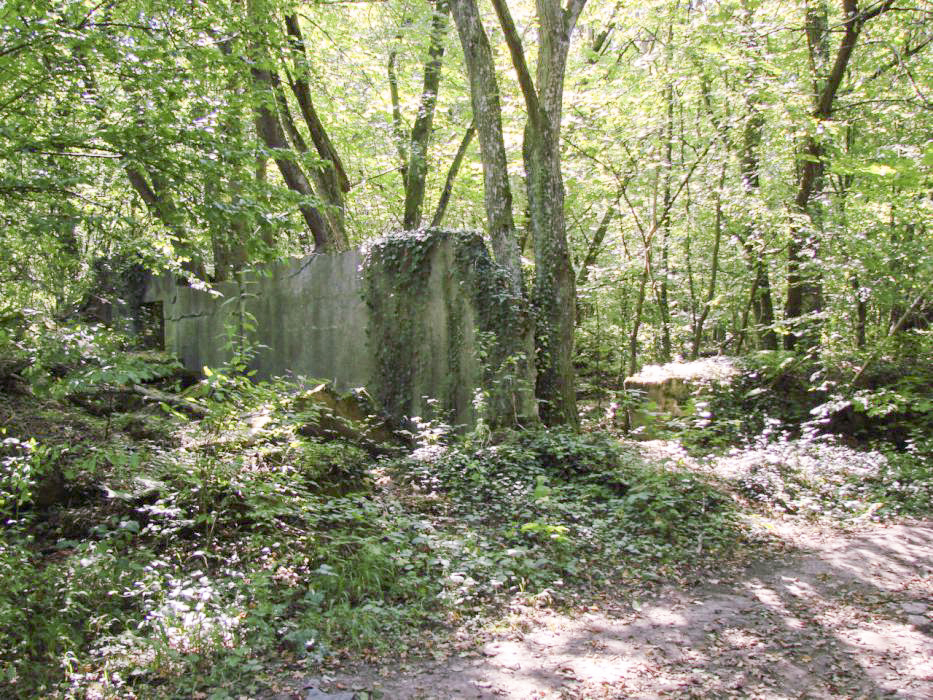 Ligne Maginot - ELZANGE - (Camp de sureté) - Les ruines du camp - Schnoupf